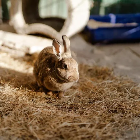 Reethaus 1a * Staberdorf