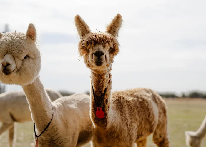 Reethaus 1a Staberdorf