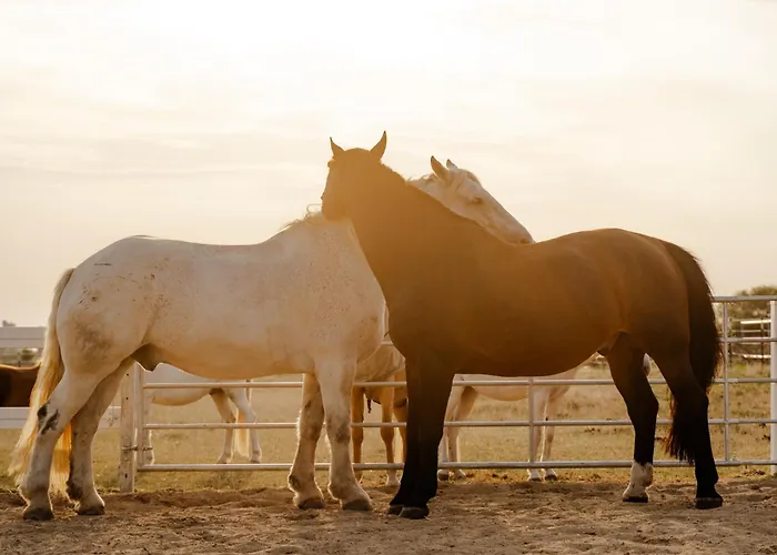 Reethaus 1a Casa de Férias Staberdorf