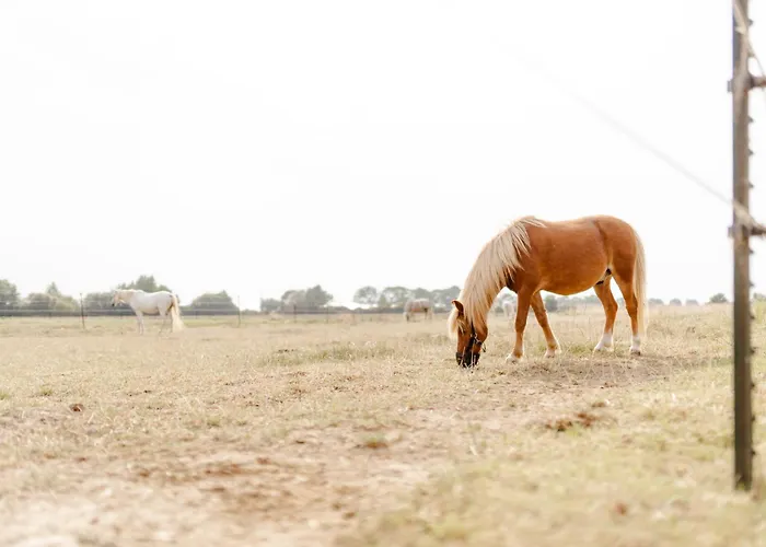 Reethaus 1a Staberdorf