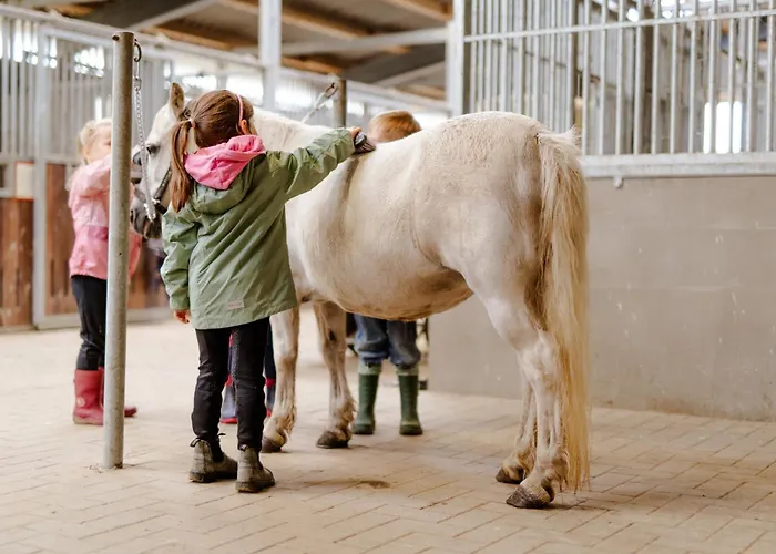 Casa de Férias Reethaus 1a