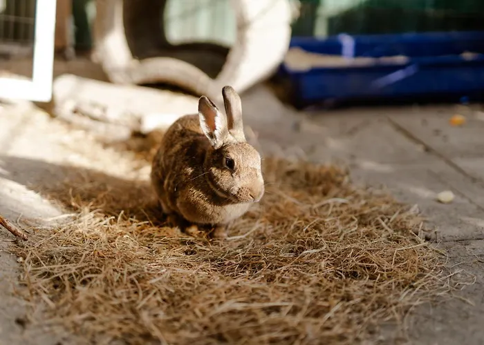 Reethaus 1a * Staberdorf
